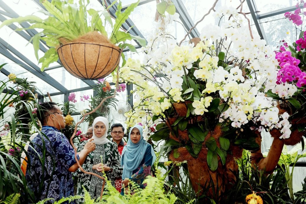 大都会/沙亚南胡姬花公园