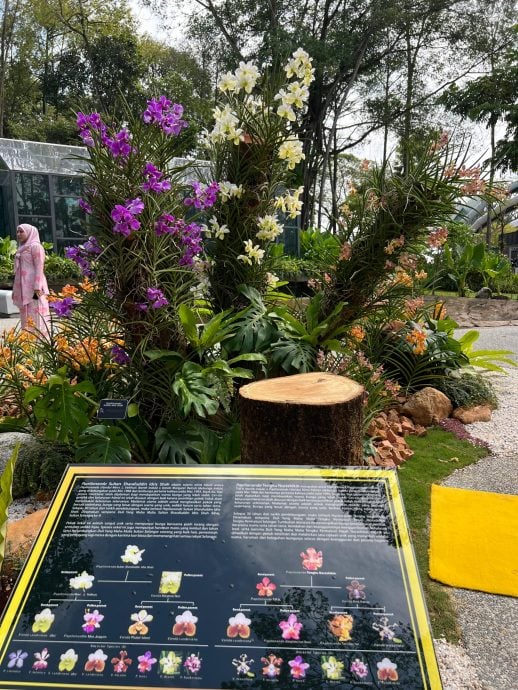 大都会/沙亚南胡姬花公园