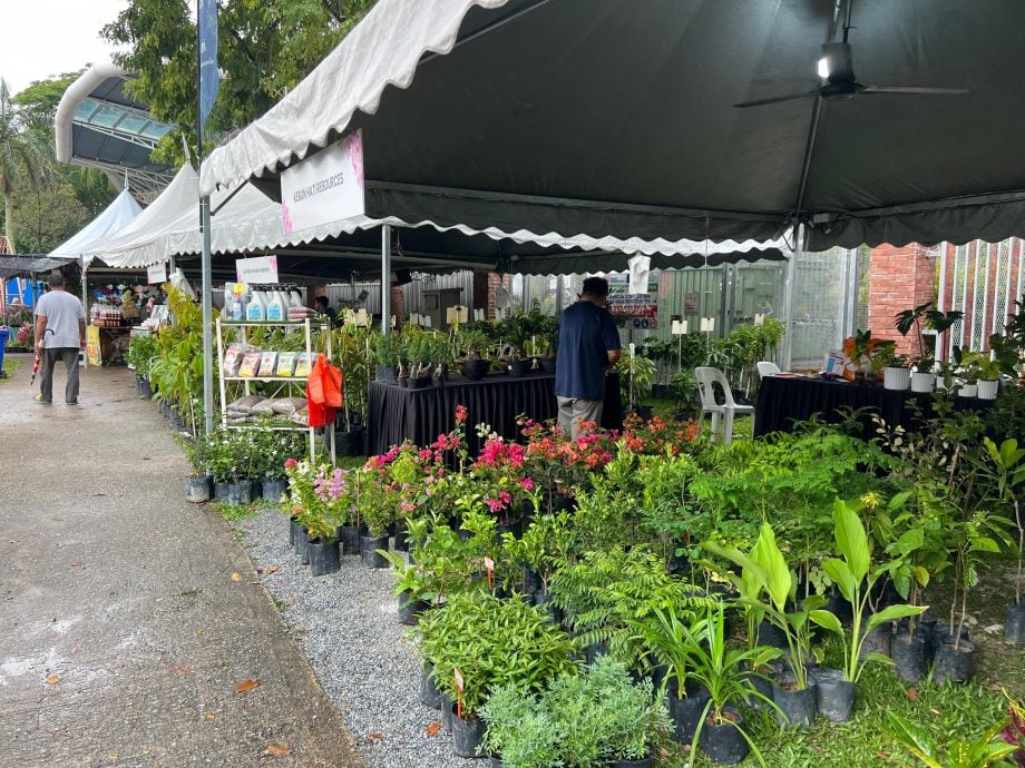 大都会/沙亚南胡姬花公园