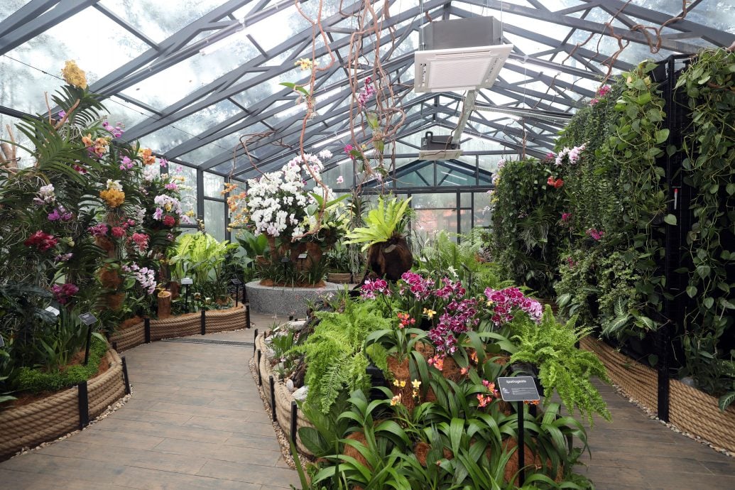 大都会/沙亚南胡姬花公园