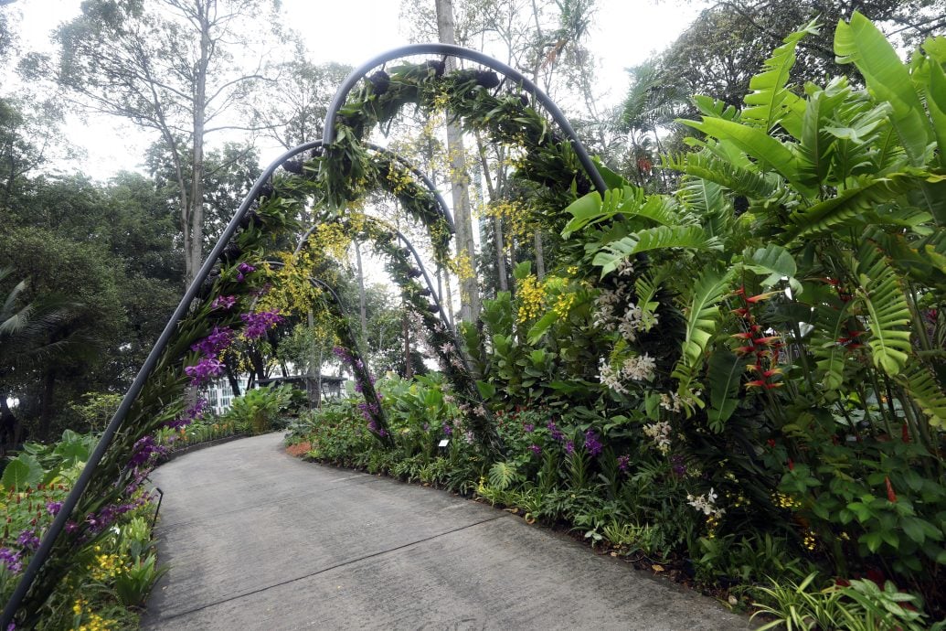 大都会/沙亚南胡姬花公园