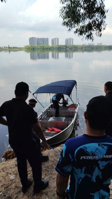 大都会/蒲种D’Island湖泊大量鱼群暴毙，初步报告无关水质