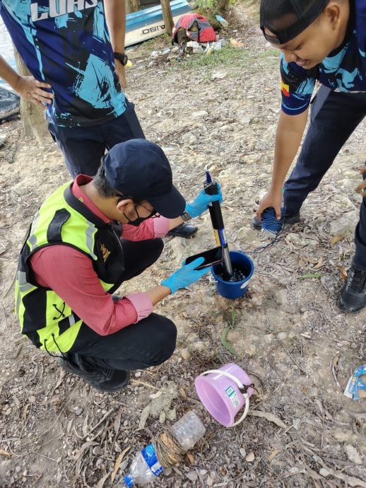 大都会/蒲种D’Island湖泊大量鱼群暴毙，初步报告无关水质