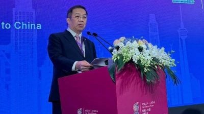 陈国伟提5建议   深化东盟中国合作