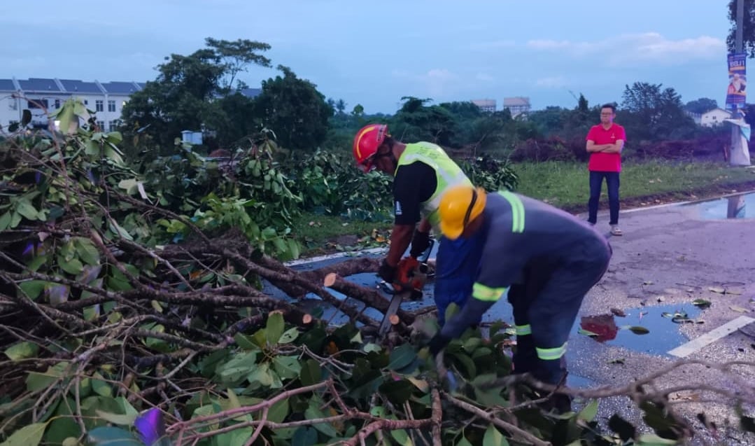 大都会:瓜冷市议会“快速行动队”助两地清理倒在路上大树/2图