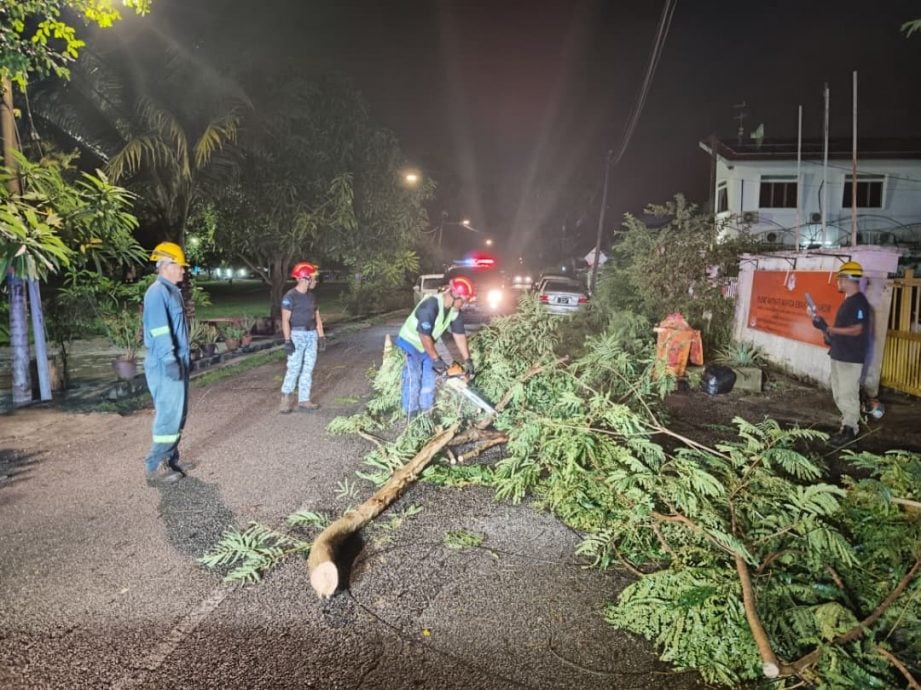 大都会:瓜冷市议会“快速行动队”助两地清理倒在路上大树/2图