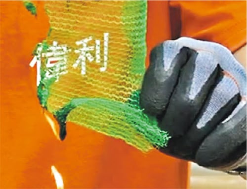 安基苑紧急拆除棚网　曾“试火”有棚网样本烧逾分钟 