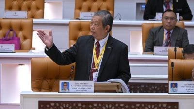 州议会｜尼查：怡1.4万道路难全面巡查 鉴定路洞需专业队伍