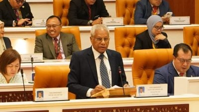 州议会｜西华尼申：今年至11月29日 36流感患者送院治疗