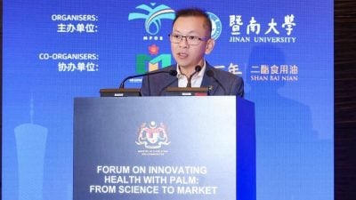 陈泓缣：告别“原料贸易时代” 马中油脂业迈“战略时代”