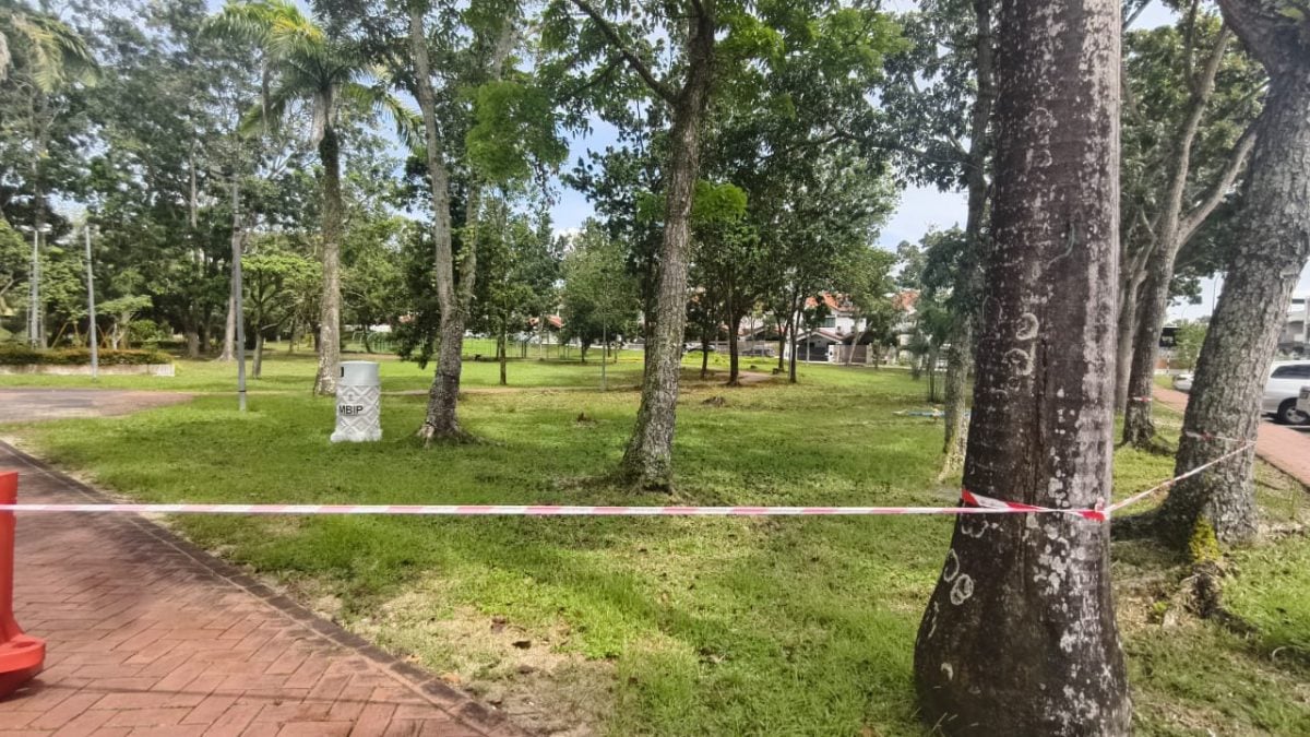 已签发 柔：版二：五福城爆发骨痛热症 一周激增12宗 有者进ICU 