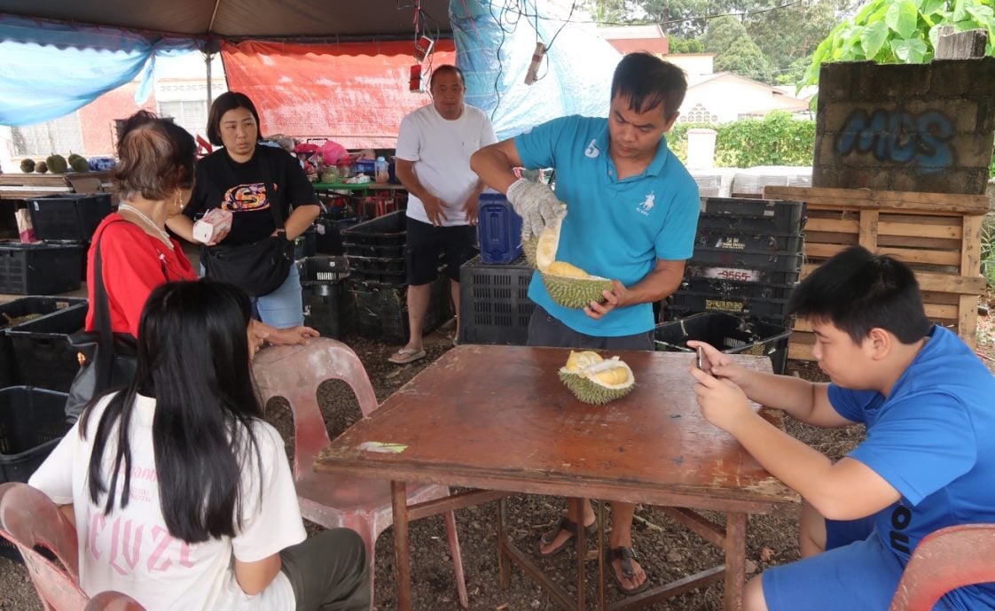 **已签发**柔︰封面:特稿〡昔榴梿盛产致降价最高可达33% 老饕品尝推热潮