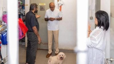 资金短缺运营困难   狮城动物协会欠债逾158万