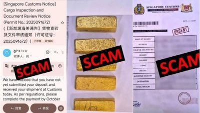 骗子出2新招 冒狮城关税局要求付款取包裹