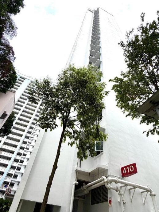 *已签发*柔：狮城二三事：高楼抛3花盆还打人 狮城老汉监5周