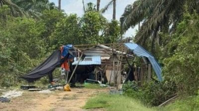 菜园棚架遭暴风雨摧毁   周忠信视察后提供协助