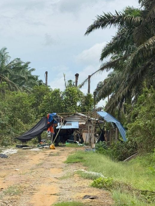 **已签发**柔：菜园棚架遭暴风雨摧毁   周忠信视察后提供协助