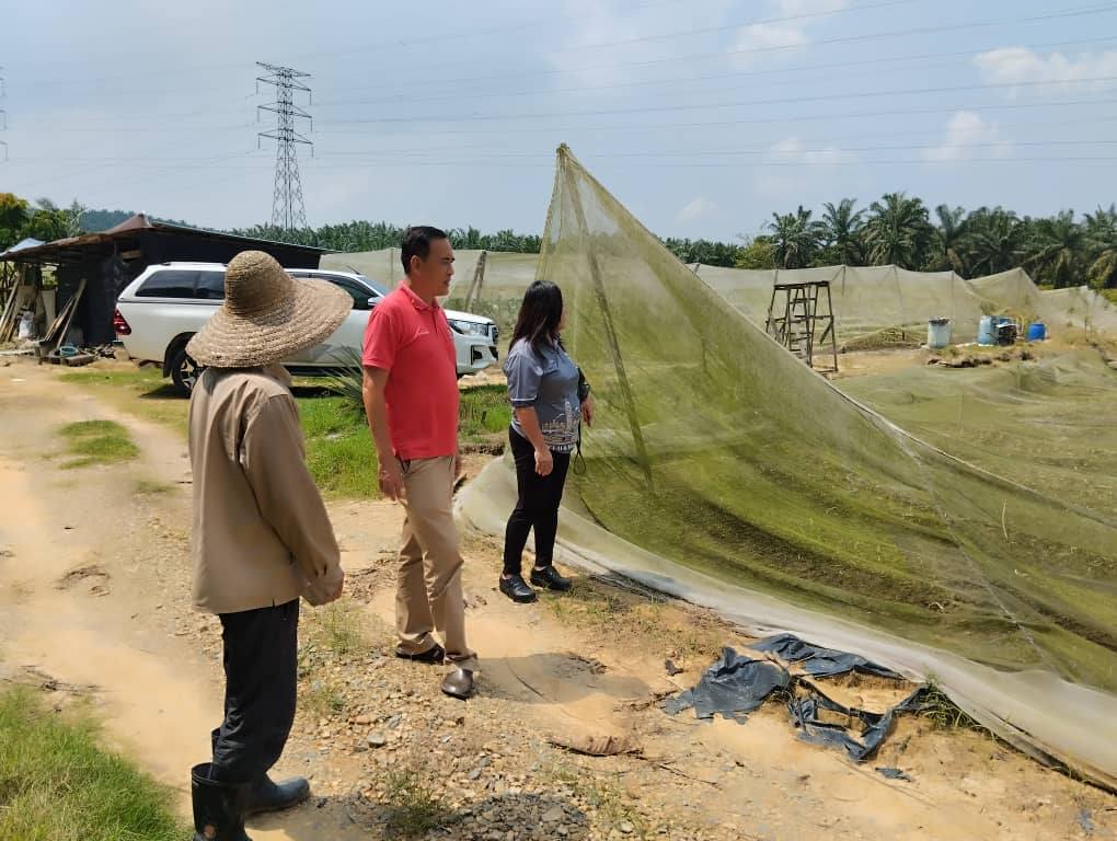 **已签发**柔：菜园棚架遭暴风雨摧毁   周忠信视察后提供协助