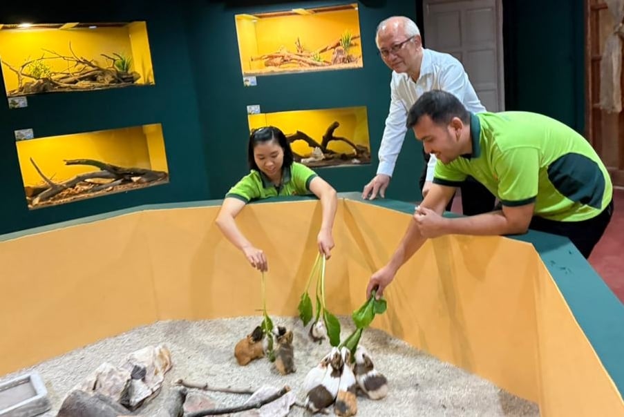 已签发（大北马）槟城飞禽公园新增展馆 可近距离接触罕见爬行动物