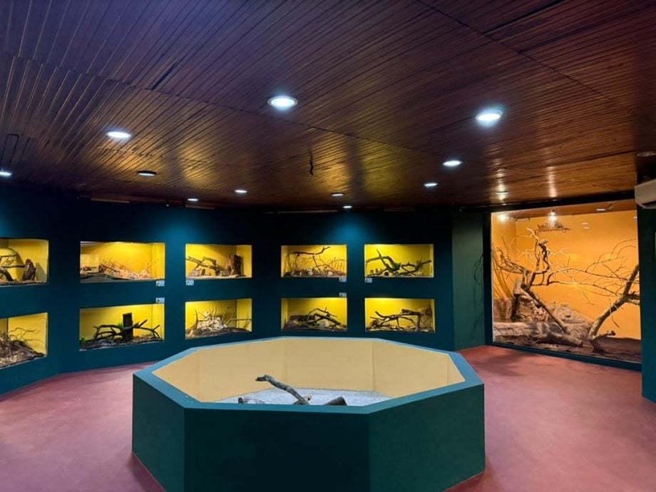 已签发（大北马）槟城飞禽公园新增展馆 可近距离接触罕见爬行动物