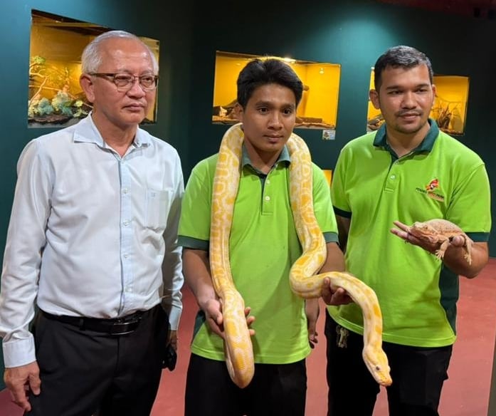 已签发（大北马）槟城飞禽公园新增展馆 可近距离接触罕见爬行动物