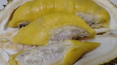 市场疲软年关银紧 榴梿价跌至近年最低