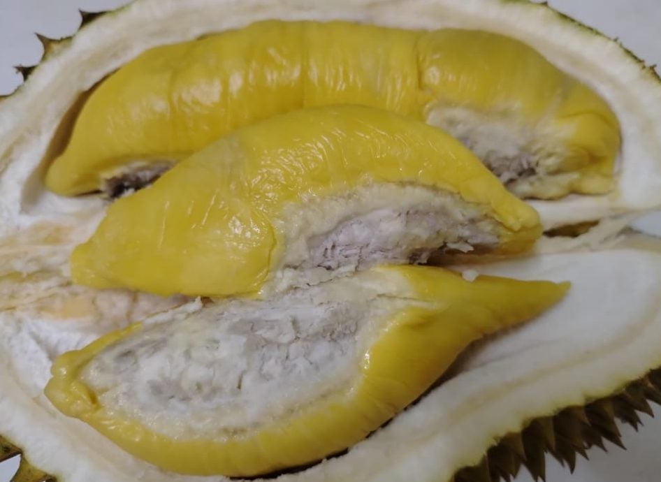 市场疲软年关银紧 榴梿价跌至近年最低