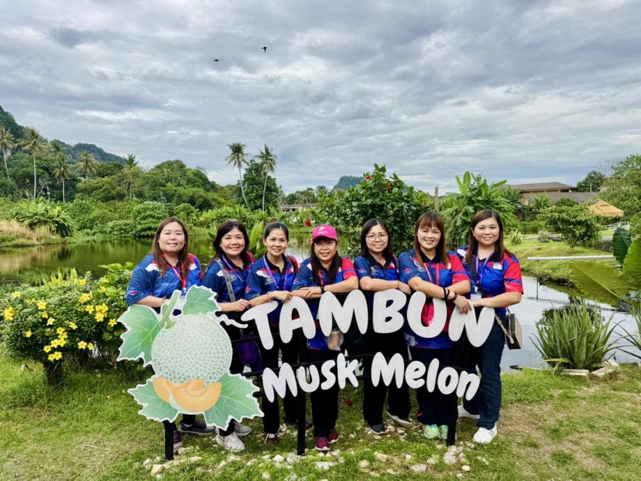 年终旺季霹酒店订房率慢热 料最后一分钟升温