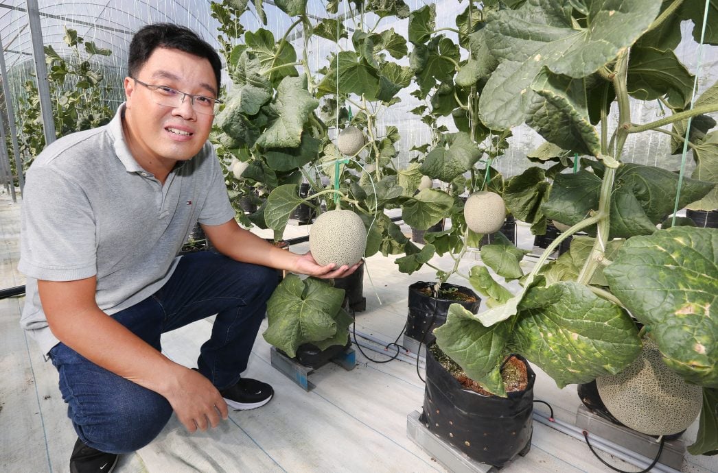 年终旺季霹酒店订房率慢热 料最后一分钟升温