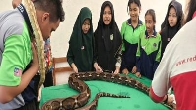 【校园报道】东姑布特拉国中 义卖会商品丰富多样