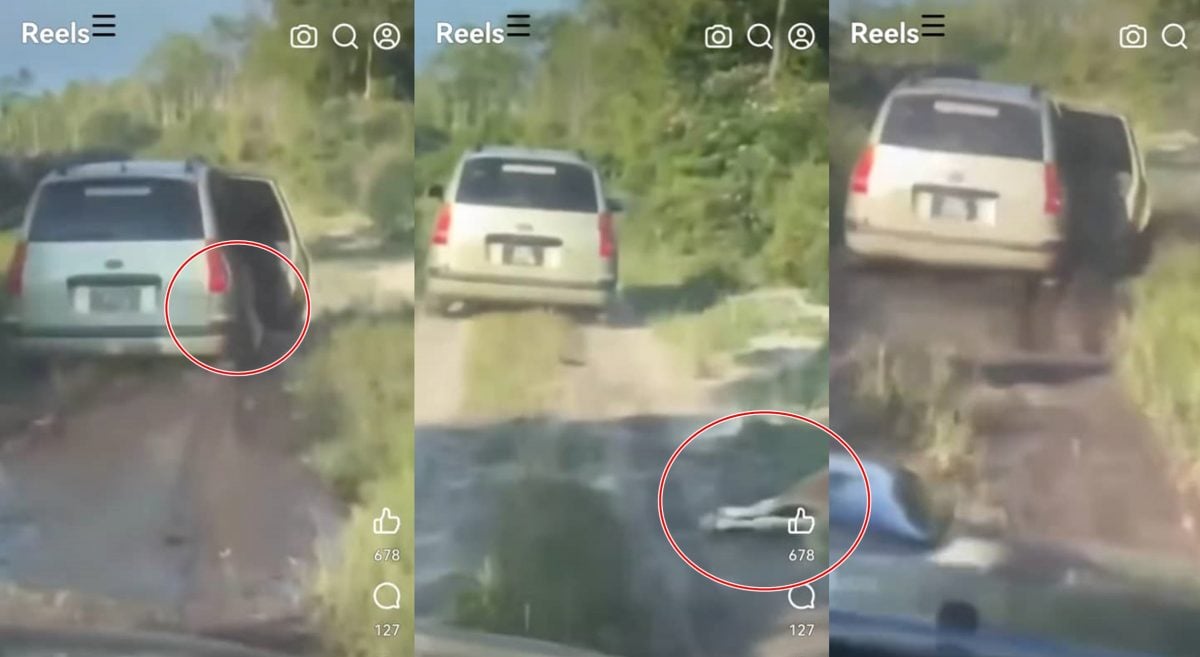 把牛塞进车遇牛主紧追弃牛逃逸，北根警方追查偷牛贼。