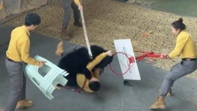 杭州动物园黑熊袭击饲养员 园方：因兴奋抢食 人熊未受伤