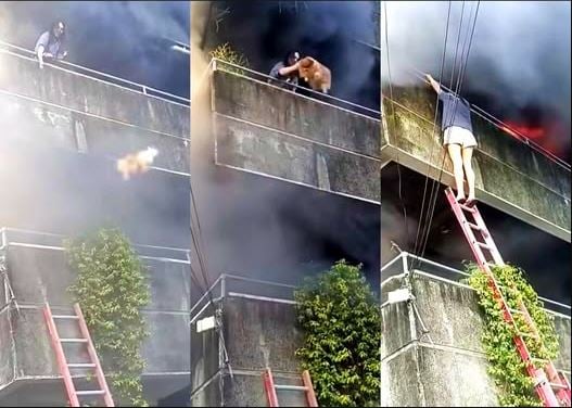 拚盘/大火逃生先救毛小孩 菲律宾女子暖心举动感动全网