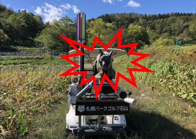 日本熊灾“机械狼”成驱熊神器 红眼配喇叭声响可吓跑动物