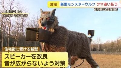 日本熊灾“机械狼”成驱熊神器　红眼配喇叭声响可吓跑动物