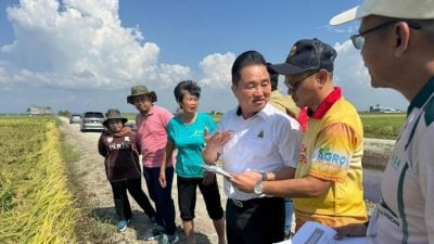 减轻适耕庄稻农亏损   黄瑞林助申请伊保赔偿