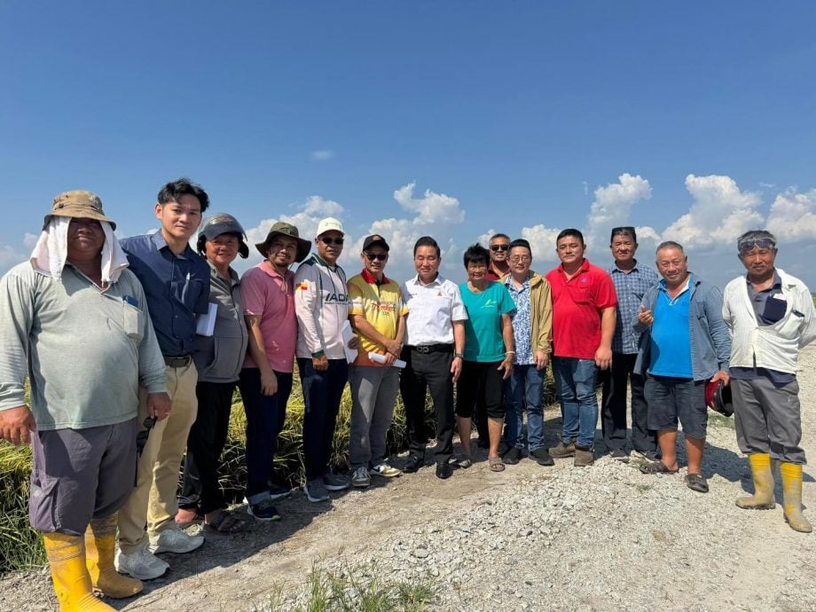 早报头//大都会-黄瑞林巡视适耕庄稻田