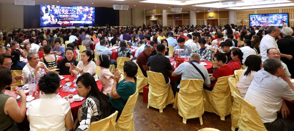 暖势力-紫炫之夜