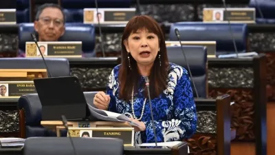 林慧英：批发零售漏税风险最高   电子发票保障国家收入