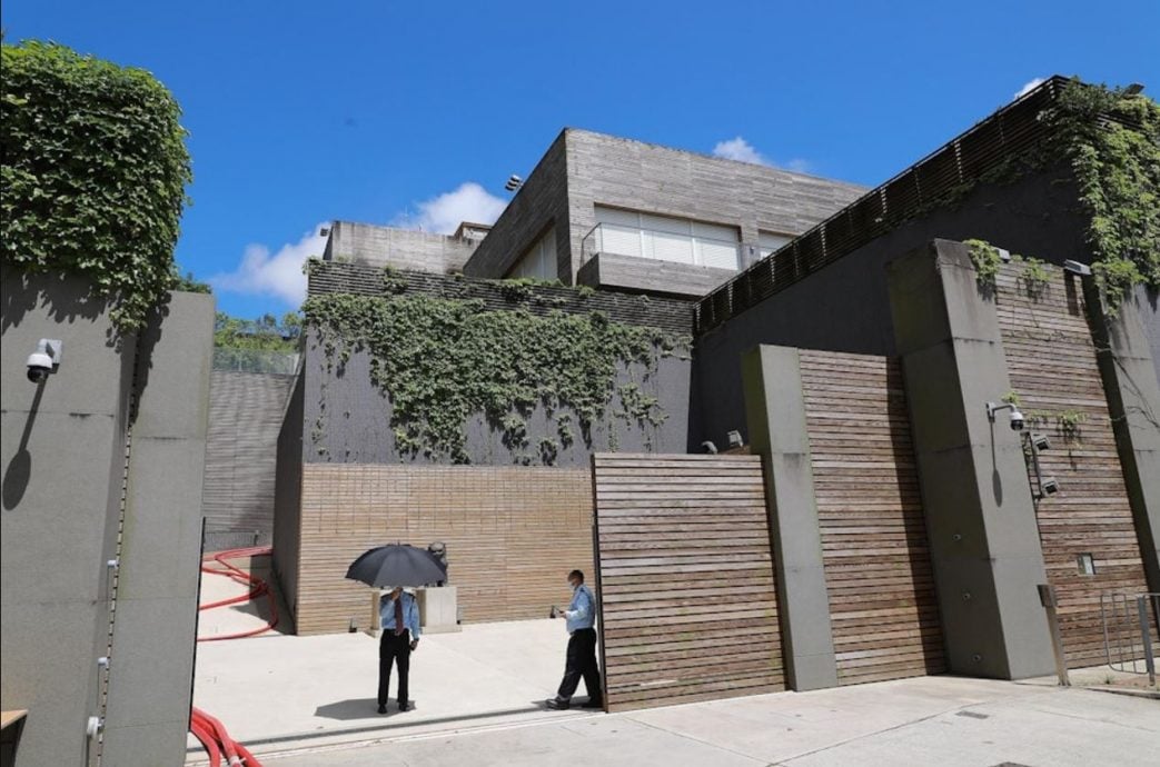 林青霞家中惊魂!被“它们”大肆入侵吓到手抖