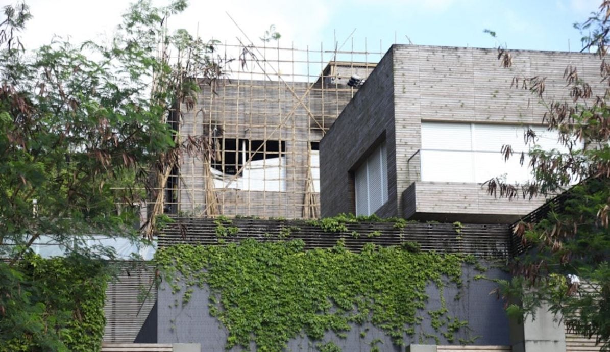 林青霞家中惊魂!被“它们”大肆入侵吓到手抖