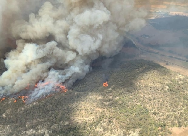 澳洲东岸数十起林火毁损房屋 波及古尔本河国家公园