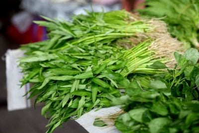 空心菜 苋菜 菜心 长豆等 雨季减产 本地菜涨50% 