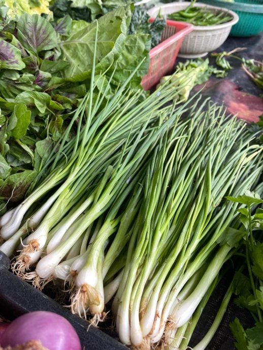 版头-大都会// 雨季冲击供应,本地菜价格上涨/9图