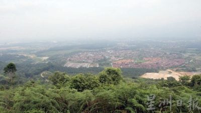 牛失踪 被咬死  珠宝龙岗山疑出现老虎