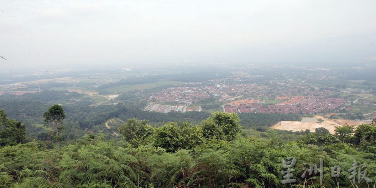 牛失踪 被咬死 珠宝龙岗山疑出现老虎