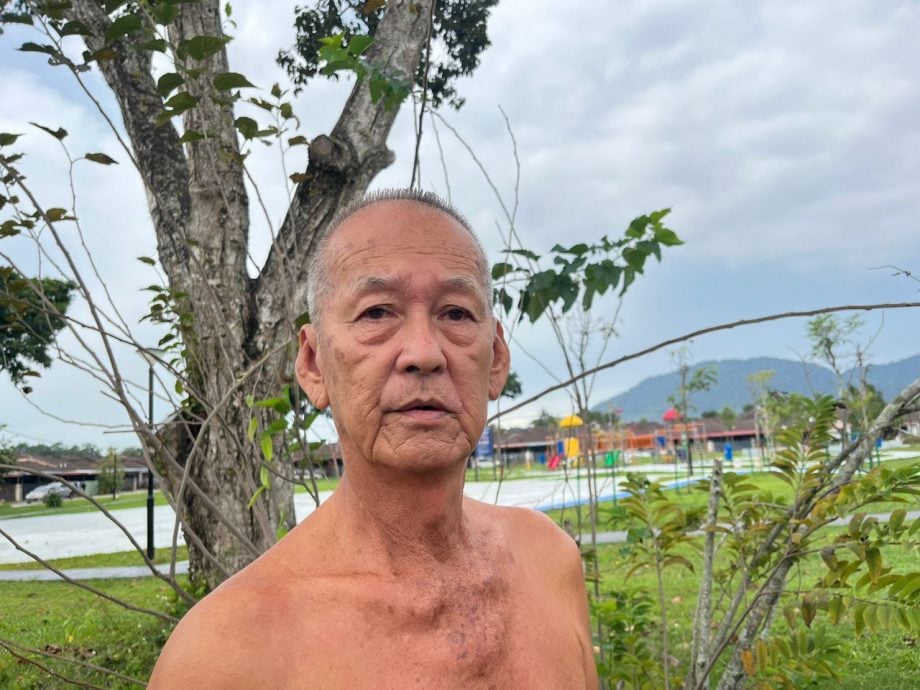 牛群游荡 布先昌明公园中招 留下粪便破坏农作物