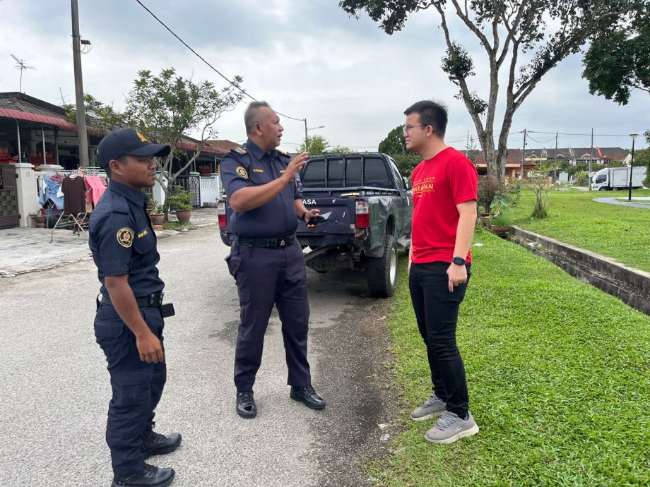 牛群游荡 布先昌明公园中招 留下粪便破坏农作物