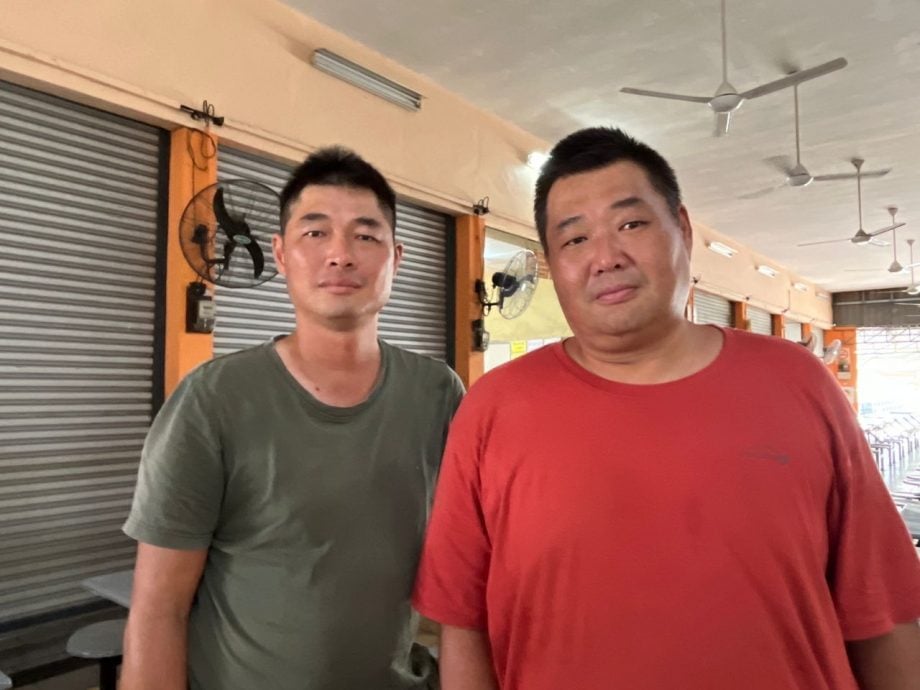 牛群游荡 布先昌明公园中招 留下粪便破坏农作物