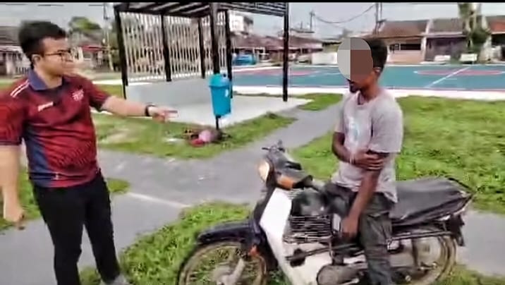 牛群游荡 布先昌明公园中招 留下粪便破坏农作物